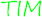 TIM
